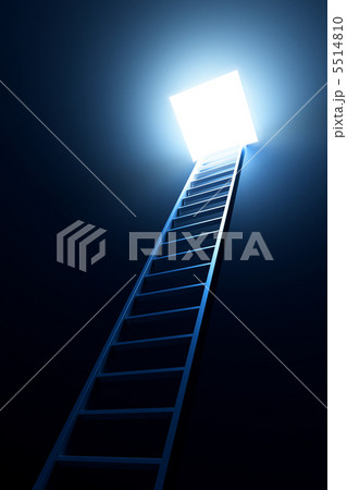 3d ladder leading to out 3d ladder leading to out 5514810