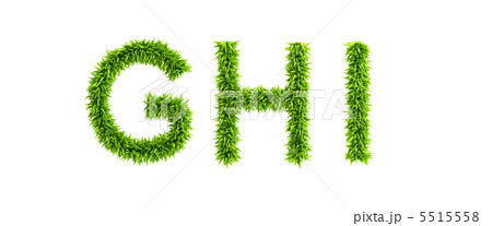 symbolic grassy alphabet 5515558