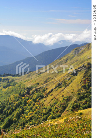 mountain's landscape in Sochi mountain's landscape in Sochi 5515660