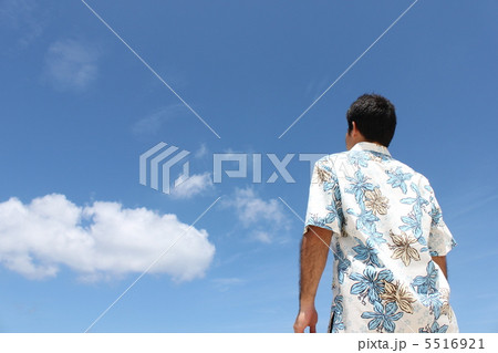 見上げる 5516921