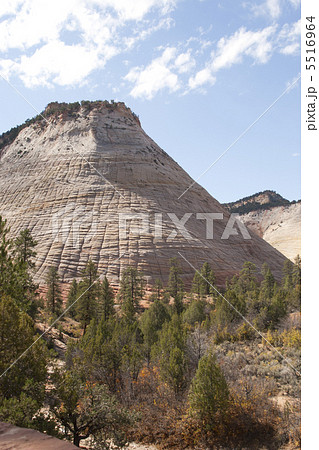 ザイオン　チェッカーボード メサ 5516964