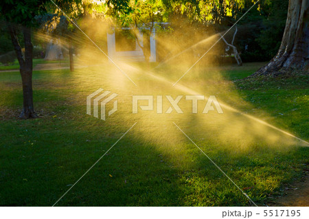 sprinkler of automatic watering grass 5517195