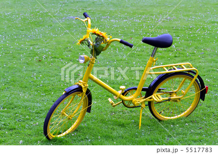 Old yellow bicycle with sunflowers. Old yellow bicycle with sunflowers. 5517783