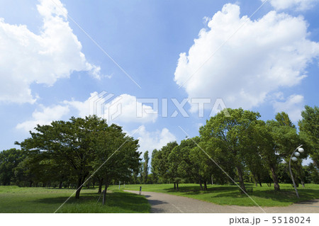 緑の小径 緑の小径 5518024