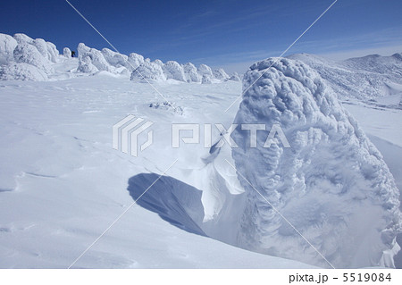 八甲田山の樹氷 八甲田山の樹氷 5519084