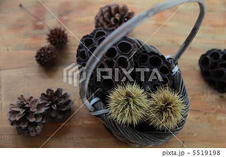 秋の木の実 5519198