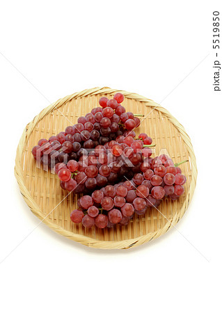 ぶどう　葡萄 5519850