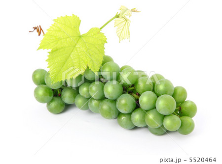 Fresh grape fruits with green leaves isolated 5520464