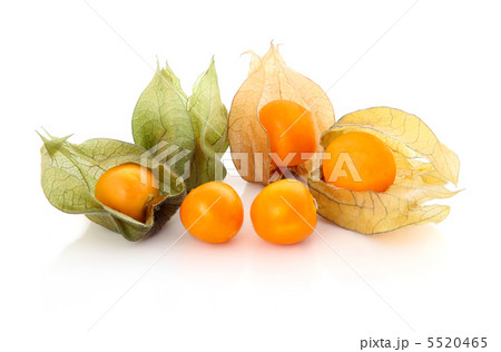 Cape gooseberry (physalis) isolated 5520465