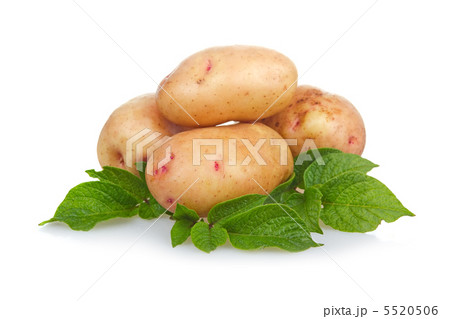 Heap of ripe potatoes vegetable with green leafs Heap of ripe potatoes vegetable with green leafs 5520506