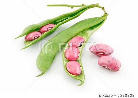 Ripe Haricot Beans with Seed and Leaves Isolated on White Ripe Haricot Beans with Seed and Leaves Isolated on White 5520808
