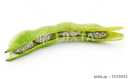 Ripe Haricot Beans with Seed Isolated on White Ripe Haricot Beans with Seed Isolated on White 5520952