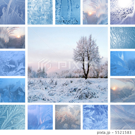 Winter collage 5521583