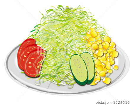 野菜サラダのイラスト素材