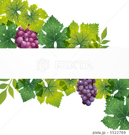 ぶどう　背景 5522769