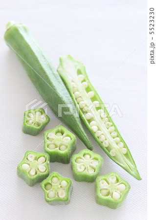 オクラ 野菜 夏野菜 オクラ 野菜 夏野菜 5523230