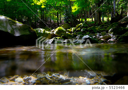 滑沢渓谷, 富士箱根伊豆国立公園,静岡県 滑沢渓谷, 富士箱根伊豆国立公園,静岡県 5523466