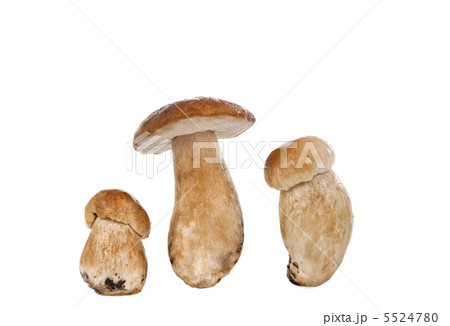 cep isolated 5524780