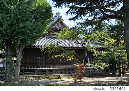 上野寛永寺 5525601