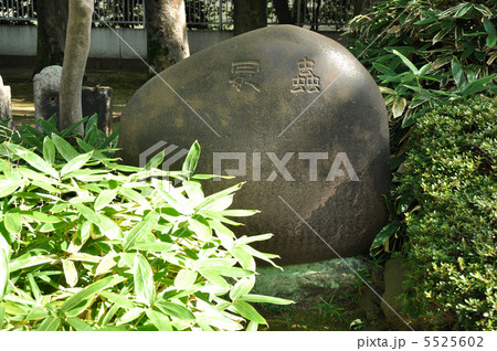 上野寛永寺　虫塚 5525602
