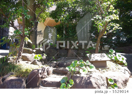 熱海の尾崎紅葉の筆塚 5529014