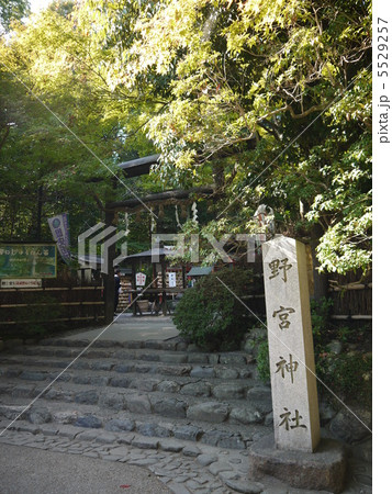 野宮神社 野宮神社 5529257
