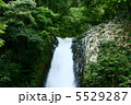 浄蓮の滝 5529287
