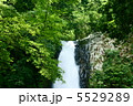 浄蓮の滝 5529289