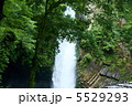 浄蓮の滝 5529293