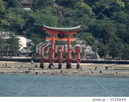 宮島の大鳥居 5529949