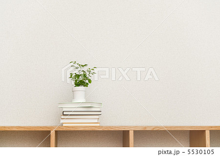 観葉植物と本 5530105