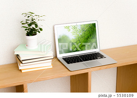パソコンと本と観葉植物 5530109