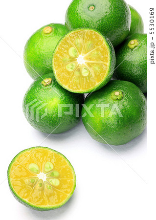 シークヮーサー シークヮーサー 5530169