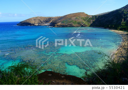 ブルーの海 ブルーの海 5530421