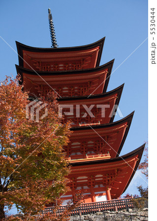 宮島の紅葉 5530444