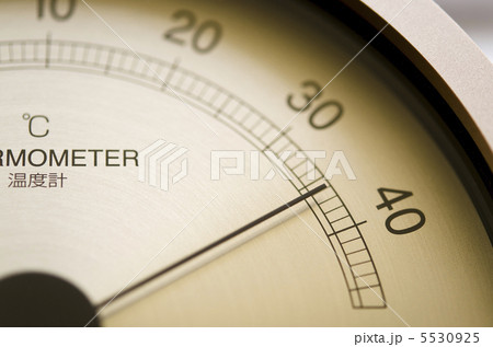 温度計 ／ Thermometer 5530925