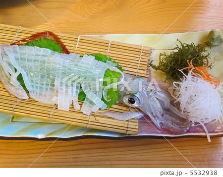 イカ活き造り イカ活き造り 5532938