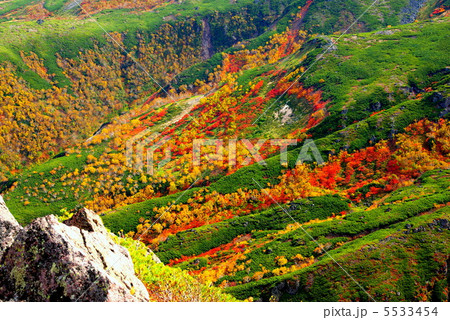 大雪山の紅葉　 5533454
