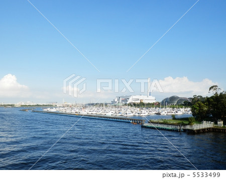 夢の島大橋から夢の島公園、葛西臨海公園方面を望む 5533499