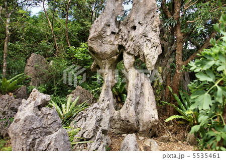 大石林山 5535461