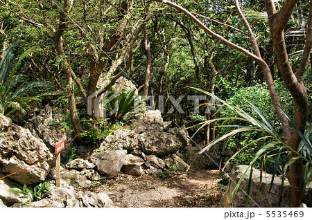 大石林山 大石林山 5535469