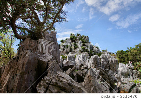 大石林山 大石林山 5535470