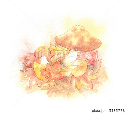 キノコと落ち葉 5535778