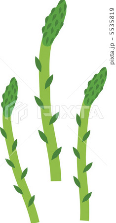 アスパラ 5535819