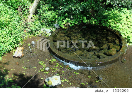 柿田川公園 5536006