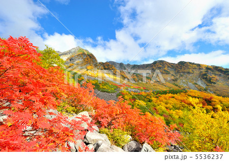 穂高の秋 5536237