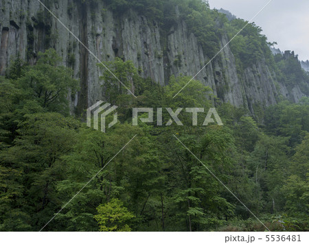 霧の天人峡 5536481