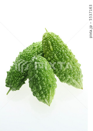 ゴーヤ ゴーヤ 5537163