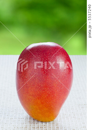 アップルマンゴー 5537240