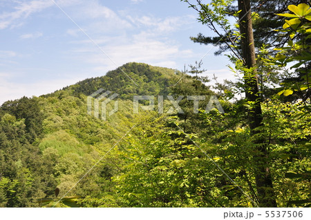 新緑の倉岳山 5537506